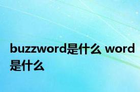 buzzword是什么 word是什么