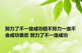 努力了不一定成功但不努力一定不会成功意思 努力了不一定成功 