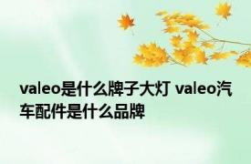 valeo是什么牌子大灯 valeo汽车配件是什么品牌