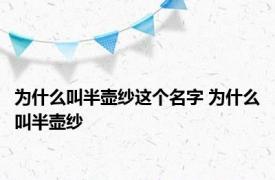 为什么叫半壶纱这个名字 为什么叫半壶纱