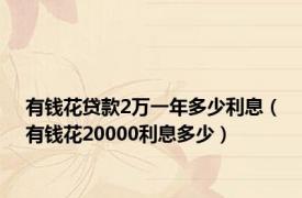 有钱花贷款2万一年多少利息（有钱花20000利息多少）