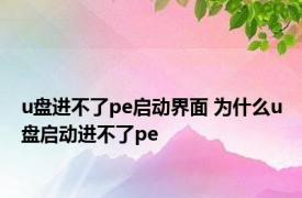 u盘进不了pe启动界面 为什么u盘启动进不了pe