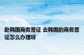 赴韩国商务签证 去韩国的商务签证怎么办理呀