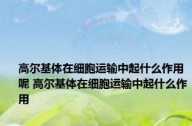 高尔基体在细胞运输中起什么作用呢 高尔基体在细胞运输中起什么作用