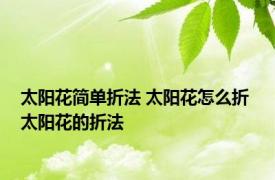 太阳花简单折法 太阳花怎么折 太阳花的折法