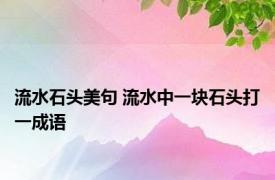 流水石头美句 流水中一块石头打一成语