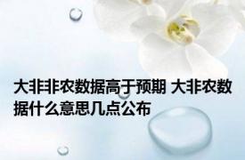 大非非农数据高于预期 大非农数据什么意思几点公布