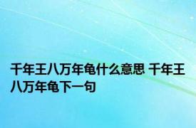 千年王八万年龟什么意思 千年王八万年龟下一句