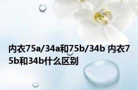 内衣75a/34a和75b/34b 内衣75b和34b什么区别