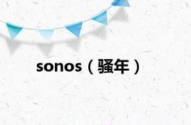 sonos（骚年）