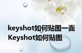 keyshot如何贴图一面 Keyshot如何贴图