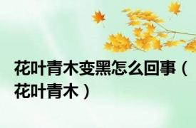 花叶青木变黑怎么回事（花叶青木）