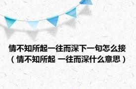 情不知所起一往而深下一句怎么接（情不知所起 一往而深什么意思）