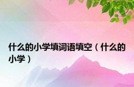 什么的小学填词语填空（什么的小学）