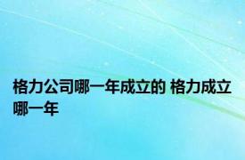 格力公司哪一年成立的 格力成立哪一年