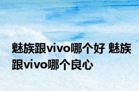 魅族跟vivo哪个好 魅族跟vivo哪个良心