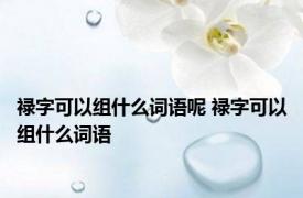 禄字可以组什么词语呢 禄字可以组什么词语