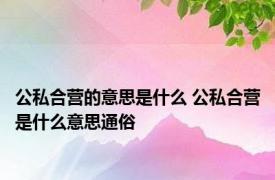 公私合营的意思是什么 公私合营是什么意思通俗