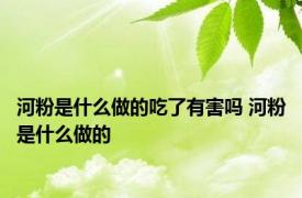 河粉是什么做的吃了有害吗 河粉是什么做的