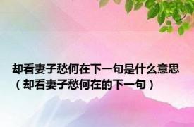 却看妻子愁何在下一句是什么意思（却看妻子愁何在的下一句）