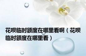 花呗临时额度在哪里看啊（花呗临时额度在哪里看）