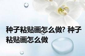 种子粘贴画怎么做? 种子粘贴画怎么做