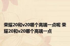 荣耀20和v20哪个高端一点呢 荣耀20和v20哪个高端一点