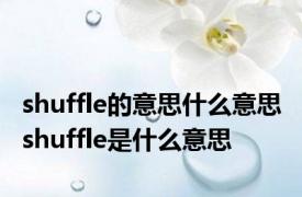 shuffle的意思什么意思 shuffle是什么意思