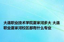 大连职业技术学院夏家河多大 大连职业夏家河校区都有什么专业