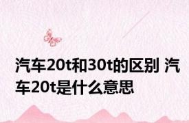 汽车20t和30t的区别 汽车20t是什么意思