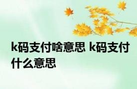 k码支付啥意思 k码支付什么意思