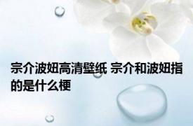 宗介波妞高清壁纸 宗介和波妞指的是什么梗