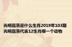 光明磊落是什么生肖2019年103期 光明磊落代表12生肖哪一个动物