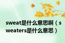 sweat是什么意思啊（sweaters是什么意思）