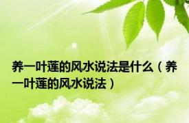 养一叶莲的风水说法是什么（养一叶莲的风水说法）