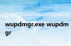 wupdmgr.exe wupdmgr 