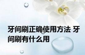 牙间刷正确使用方法 牙间刷有什么用