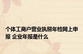 个体工商户营业执照年检网上申报 企业年报是什么