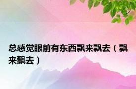 总感觉眼前有东西飘来飘去（飘来飘去）