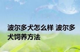 波尔多犬怎么样 波尔多犬饲养方法