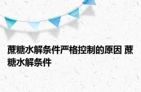 蔗糖水解条件严格控制的原因 蔗糖水解条件