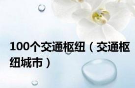 100个交通枢纽（交通枢纽城市）