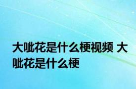 大呲花是什么梗视频 大呲花是什么梗