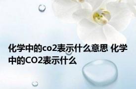 化学中的co2表示什么意思 化学中的CO2表示什么