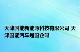 天津国能新能源科技有限公司 天津国能汽车是国企吗