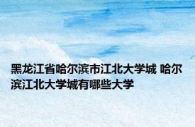 黑龙江省哈尔滨市江北大学城 哈尔滨江北大学城有哪些大学