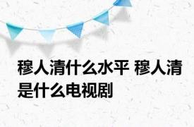 穆人清什么水平 穆人清是什么电视剧