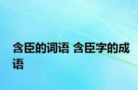 含臣的词语 含臣字的成语