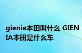 gienia本田叫什么 GIENIA本田是什么车