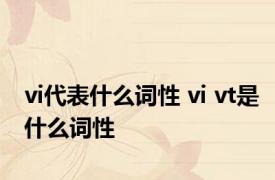 vi代表什么词性 vi vt是什么词性